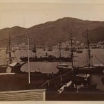 Many ships at rest in Mexican harbor